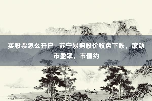 买股票怎么开户   苏宁易购股价收盘下跌，滚动市盈率，市值约