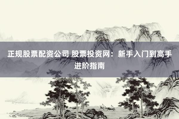 正规股票配资公司 股票投资网：新手入门到高手进阶指南