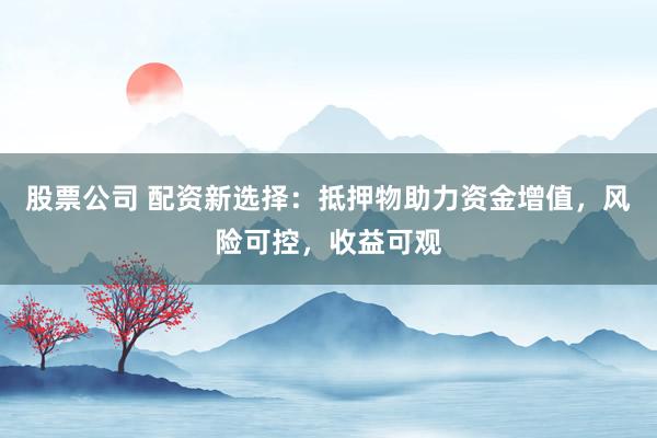 股票公司 配资新选择：抵押物助力资金增值，风险可控，收益可观