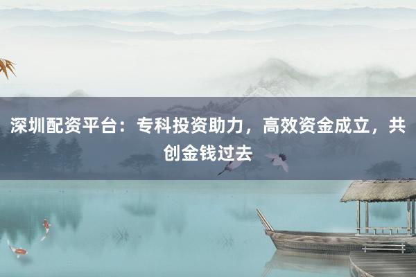 深圳配资平台：专科投资助力，高效资金成立，共创金钱过去