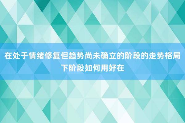 在处于情绪修复但趋势尚未确立的阶段的走势格局下阶段如何用好在